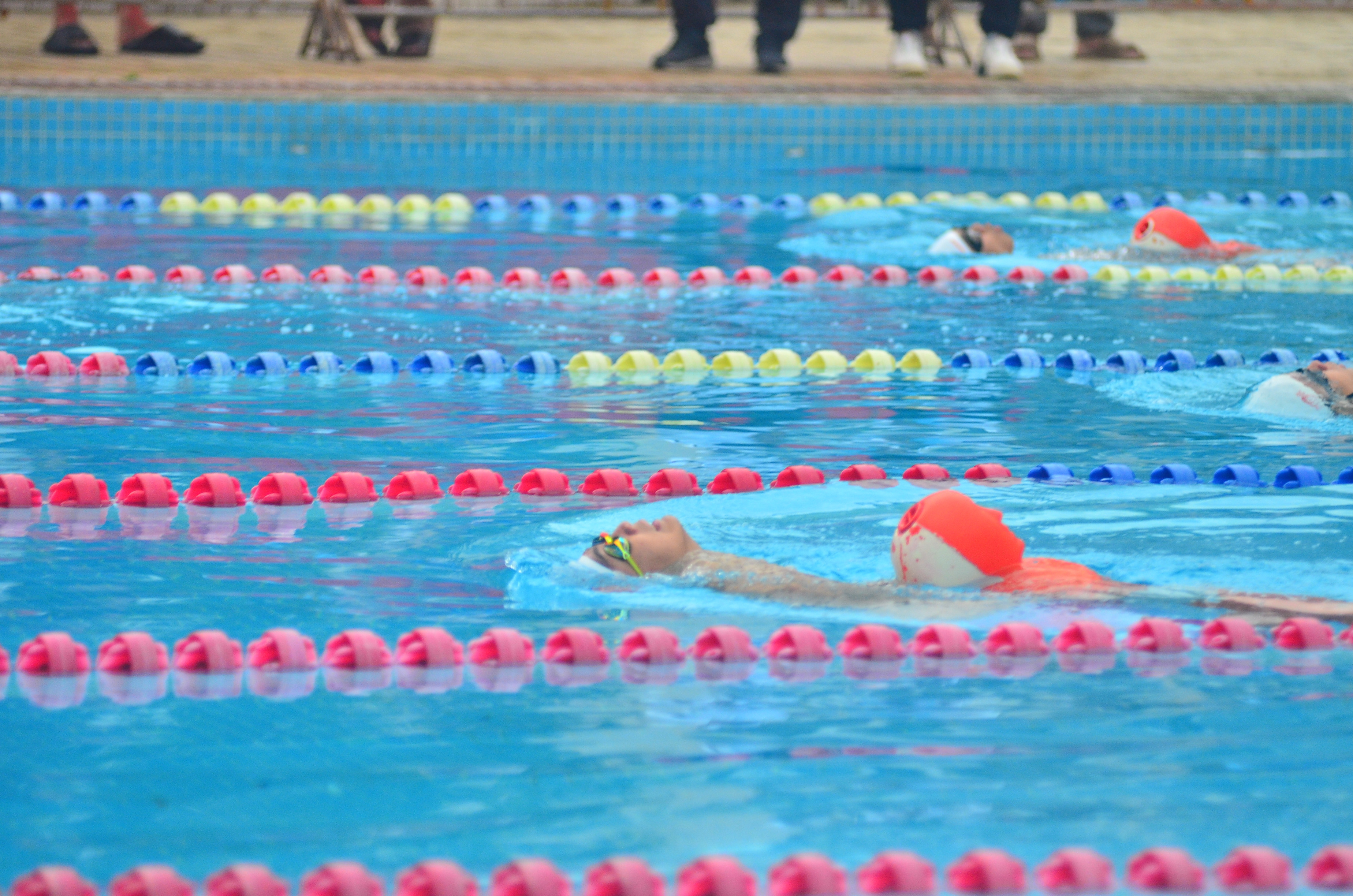 2024年海南省体育行业（游泳救生）职业技能大赛圆满收官